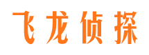 滨湖侦探